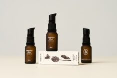 LANTESTINA-FlutterSoft-Elixir-1