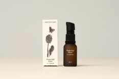 LANTESTINA-FlutterSoft-Elixir