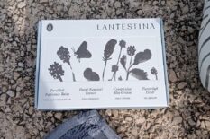 Lantestina-Routine-Bundle-Travel-Minis-Box
