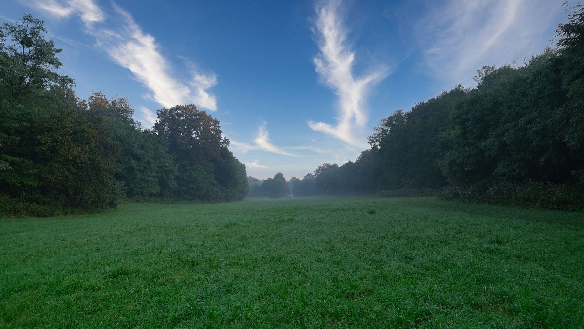 Bedekovićeve grabe meadow