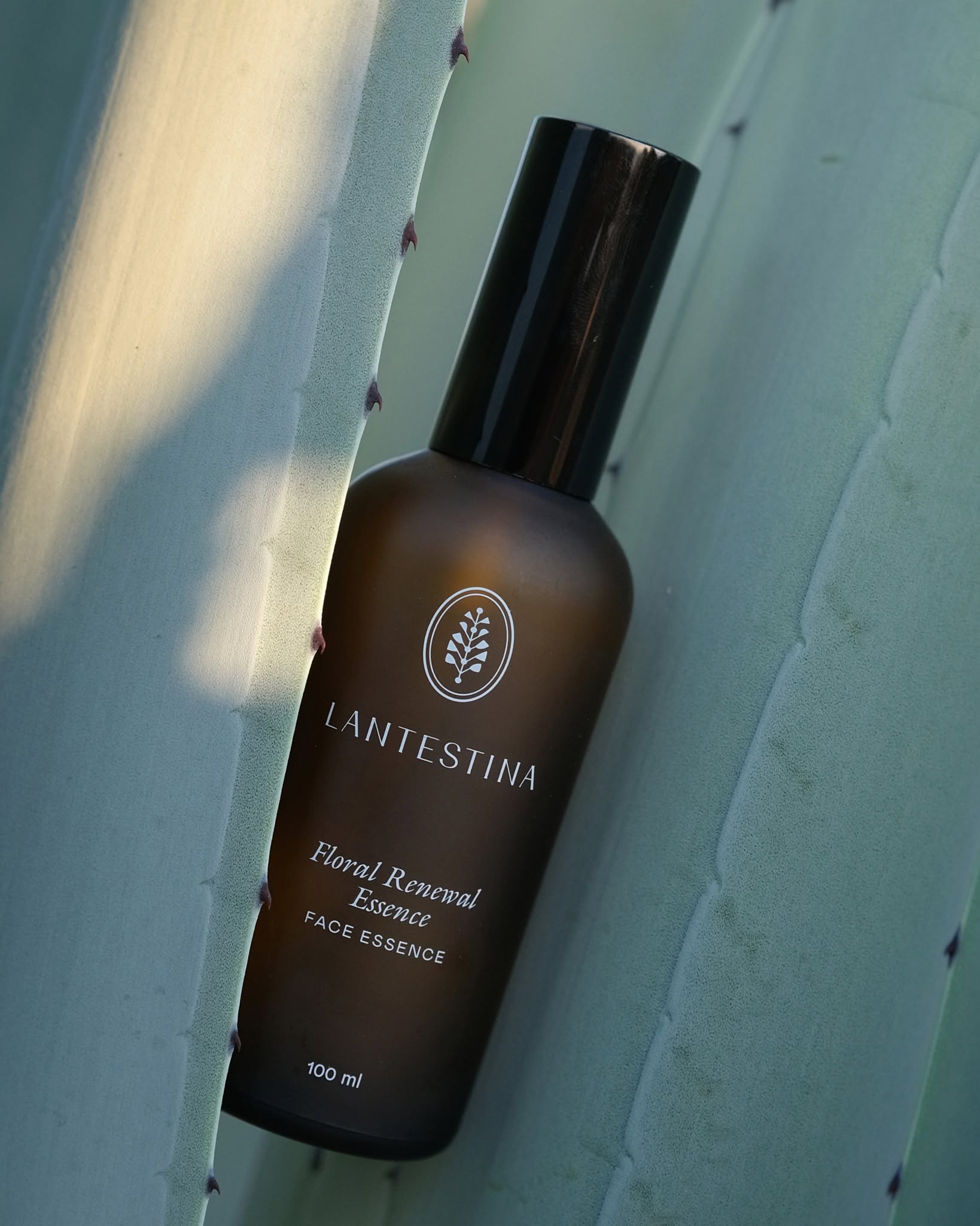 Floral Renewal Essence